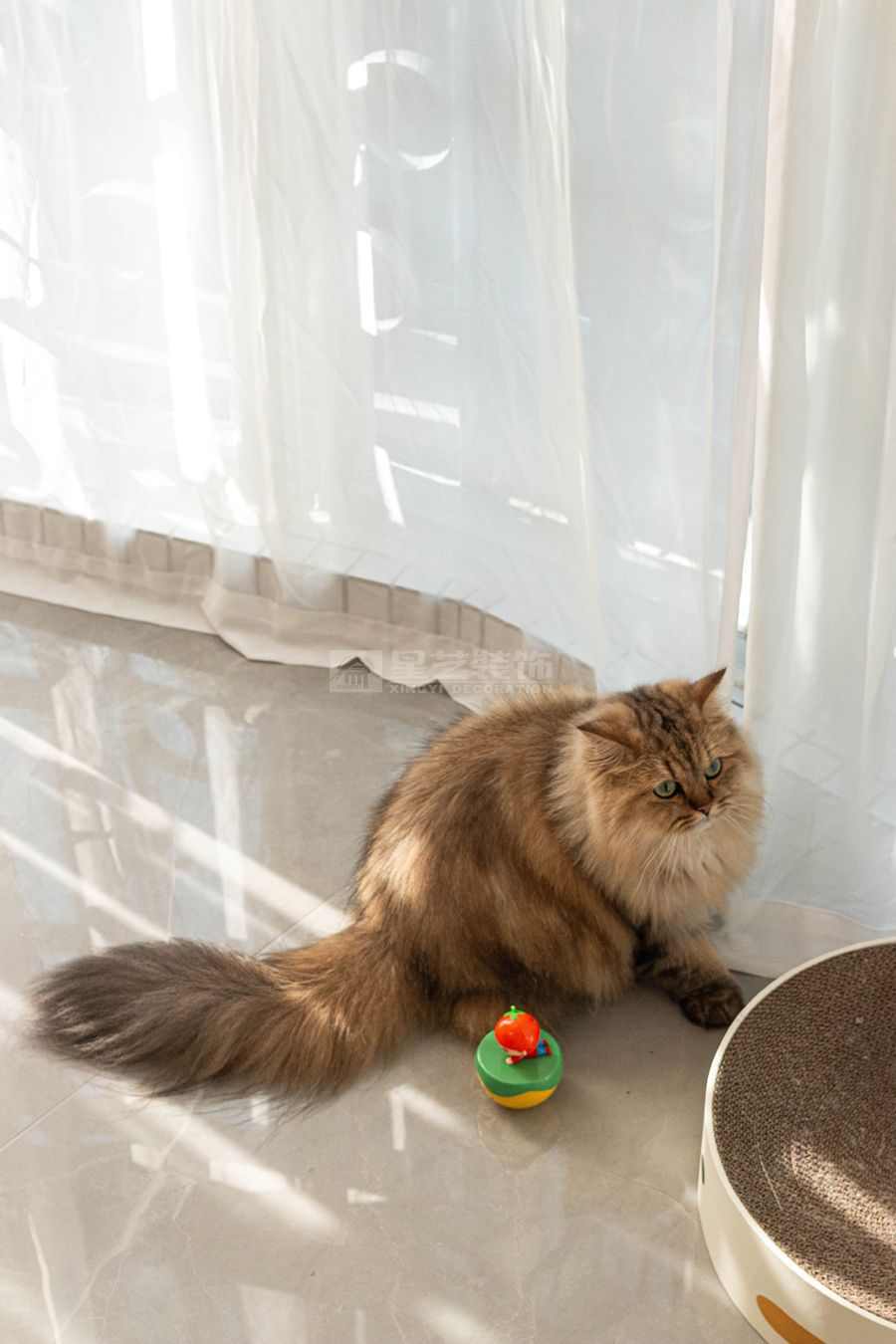 双生·林光间(图16)